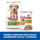 Hill’s Science Plan Senior vitatily adult 7+ small & adult estofado de pollo sobre para perros, , large image number null